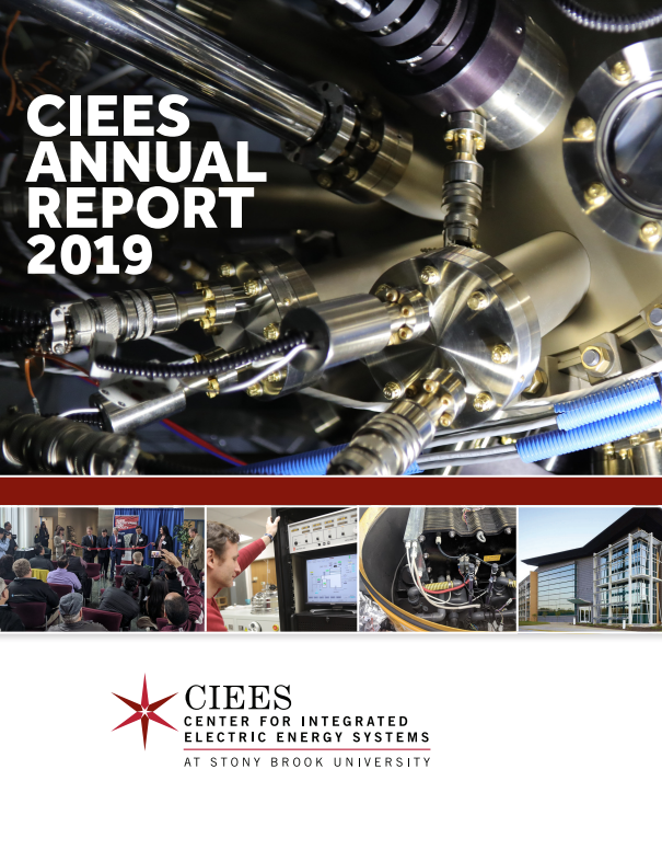 CIEES Annual Report Cover 2019
