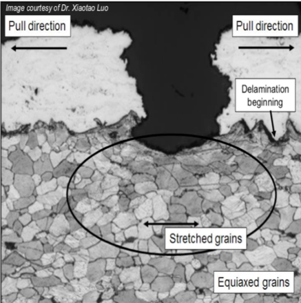 Mechanical and Thermal Properties