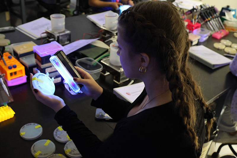 Student in biotechnology lab